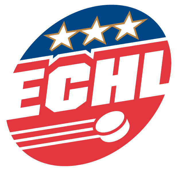 echl 2003-pres primary logo iron on transfers for clothing